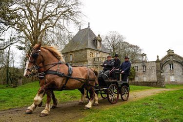 Jean-Jacques Seité, 68 ans, ses fils Matthieu, 44 ans, et Vincent, 41 ans, à Guilers, dans le Finistère. Avec leurs deux « bretons », Duc de Landi et Euriel du Moulin, sélectionnés pour concourir porte de Versailles.