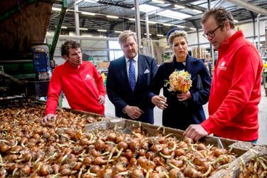 La reine Maxima et le roi Willem-Alexander des Pays-Bas visitent une entreprise qui cultive des bulbes à Teylingen, le 7 avril 2022