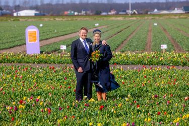 La reine Maxima et le roi Willem-Alexander des Pays-Bas dans un champ de tulipes "touristique" à Hillegom, le 7 avril 2022