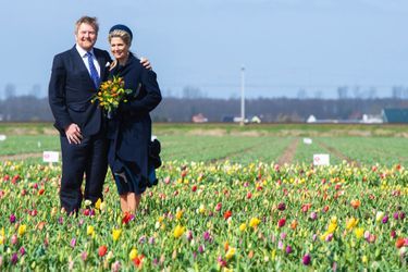 La reine Maxima et le roi Willem-Alexander des Pays-Bas dans un champ de tulipes doté d'un chemin de promenade à Hillegom, le 7 avril 2022