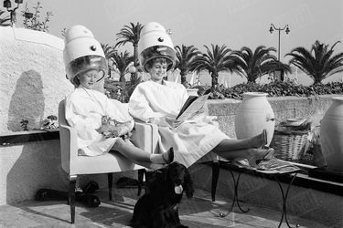 Les deux Brigitte ensemble sous le casque de séchage du coiffeur de la Croisette. En 1955, Bardot n’est pas encore BB, la star planétaire de « Et Dieu… créa la femme », mais elle a emmené Clown, son cocker, pour la plus grande joie de Brigitte Fossey.