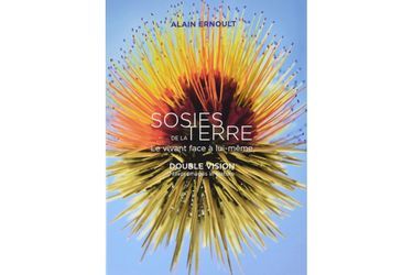 Le portfolio d&#039;Alain Ernoult « Sosies de la terre » fait l’objet d’un livre somptueux (éd. Gourcuff Gradenigo)