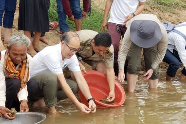 Dans le Mékong au Cambodge, l&#039;ONG américaine Wildlife Conservation Society (WCS) a coordonné la libération de 580 bébés tortues géantes asiatiques qui pourront atteindre 2 mètres à l&#039;âge adulte et peser plus de 100 kilos.