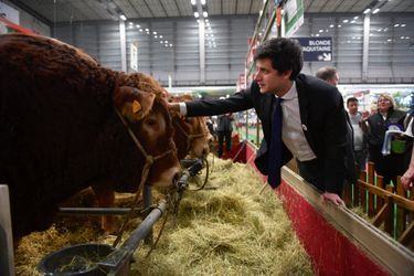 Julien Denormandie au Salon international de l’agriculture, le 4 mars dernier.