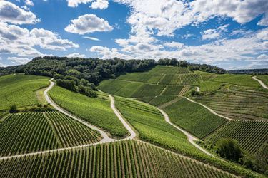 Remich Moselle 1