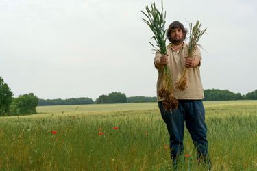 PIERRE-LOUIS DANIAU, 31 ans, cultivateur à Saint-Ciers-sur-Bonnieure (Charente). Dans ses mains, deux qualités d’épis de blé : les premiers (à g.) ont été arrosés, contrairement aux autres. Quinze jours après la photo, la grêle a détruit en partie son champ.