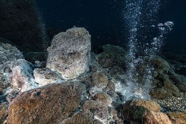 Les fonds marins de la caldeira de Panarea sont parsemés de taches blanches que l’on trouve généralement à la base des colonnes de gaz.