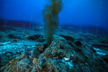 Les nombreuses cheminées hydrothermales qui s’y trouvent expulsent des fluides acides à des températures élevées.