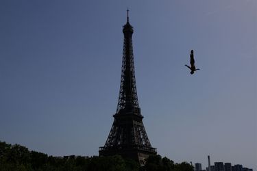 La seconde étape des Red Bull Cliff Diving World Series a eu lieu samedi à Paris.