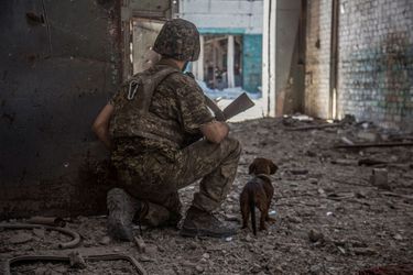 Un soldat ukrainien avec un chien dans la ville de Sievierodonetsk, Ukraine le 20 juin 2022.