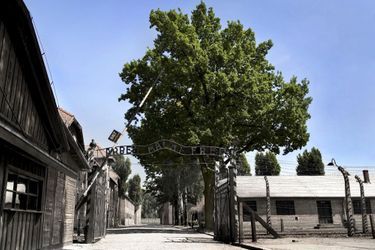 L'arbre à Auschwitz qui a vu entrer plus de 2 millions de personnes et n'en sortir aucun.