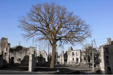 Le chêne de Oradour-Sur-Glane , qui a vu le massacre de 643 personnes par les SS en juin 1944.