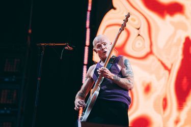 Flea des Red Hot Chili Peppers, en concert vendredi 8 juillet 2022 au Stade de France.
