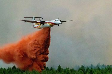 L'Espagne est en proie depuis plus d'une semaine à une suffocante vague de chaleur qui a provoqué de nombreux incendies ayant ravagé des dizaines de milliers d'hectares à travers le pays.