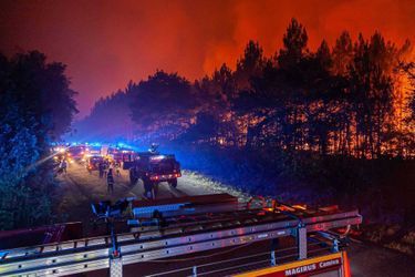 L'Espagne est en proie depuis plus d'une semaine à une suffocante vague de chaleur qui a provoqué de nombreux incendies ayant ravagé des dizaines de milliers d'hectares à travers le pays.