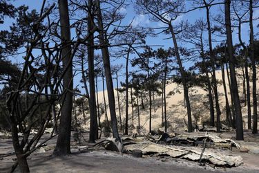 Les campings de la dune du Pilat, en Gironde, ont été rasés par les flammes de l'incendie de La Teste-de-Buch.