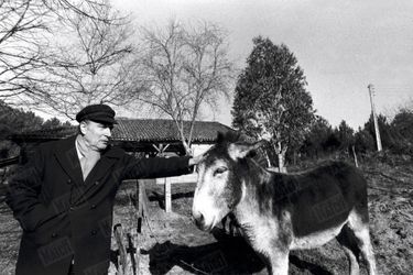 François Mitterrand avec ses ânes Marron et Noisette à Latche, dans les Landes, en décembre 1980. Il avait acheté cette maison en 1965.