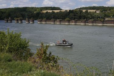 Lors de la mobilisation pour le béluga égaré dans la Seine, le 5 août 2022.