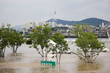 Une vue générale du parc submergé de la rivière Han, le 10 août 2022.