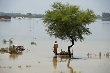 Selon les autorités, ces intempéries sont comparables à celles de 2010, année record au cours de laquelle 2.000 personnes avaient été tuées et près d'un cinquième du pays submergé par les pluies.
