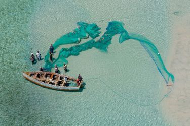 INHAMBANE, MOZAMBIQUE Dans ces eaux sinistrées par la surpêche, des îliens survivent en capturant de petites proies à marée basse. 