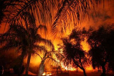 Lundi, l’incendie avait détruit près de 900 hectares de végétation.