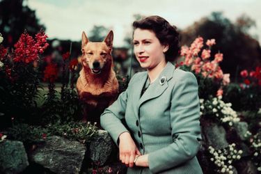 La princesse Elizabeth en 1952