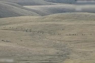 Le ministère de la Défense arménienne a diffusé cette image où l'on voit des troupes azéris sur le sol arménien. 