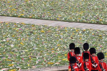 Les fleurs déposées en hommage à Sa Majesté ont été étalées sur les pelouses du Château de Windsor avant le service funèbre, ultime étape des funérailles de la reine Elizabeth II, lundi 19 septembre 2022.  <br />
