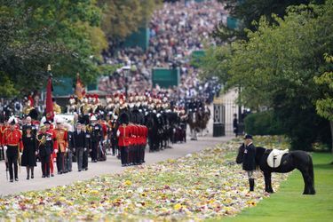 Le poney de Sa Majesté attendait la dépouille royale au Château de Windsor, ultime étape des funérailles de la reine Elizabeth II, lundi 19 septembre 2022.  <br />

