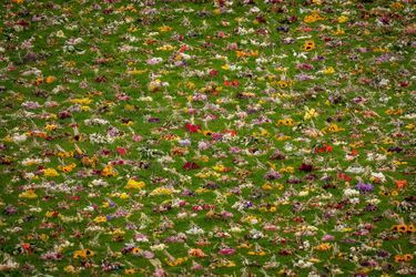 Comme un tableau de Monet, les fleurs du souvenir laissées à Windsor par la foule nostalgique. C'étaient les funérailles de la reine Elizabeth II, la fin d'une époque, la fin d'un monde. 