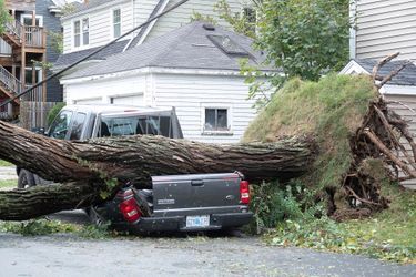 Un arbre s'est abattu sur un camion de pompiers et à cause d'une ligne électrique arrachée, les soldats du feu qui s'y trouvaient ont dû attendre l'intervention de techniciens de Nova Scotia Power pour pouvoir s'en extraire. Photo prise à Halifax.<br />
