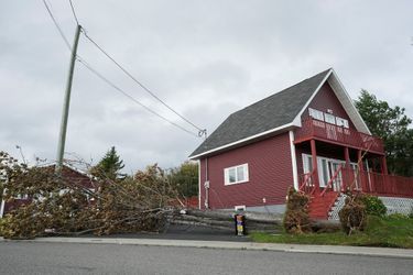 "C'est incroyable, il n'y a pas d'électricité, pas de wifi, plus de réseau", s'est exclamé le maire de la ville de Charlottetown (province de l'Île-du-Prince-Edouard), Philip Brown, sur la chaîne publique Radio-Canada. "Beaucoup d'arbres sont tombés, il y a beaucoup d'inondations sur les routes". Photo prise à Newfoundland.