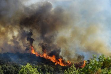 Incendie de forêt près de Gignac, dans l'Hérault, en juillet 2022. (Photo d'illustration)