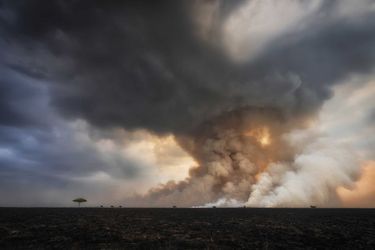 Second de la catégorie "Beautés de la nature" : Roberto Marchegiani. En 2021, un violent incendie a brûlé une grande partie de la réserve nationale du Masai (Kenya). Le feu, qui a duré trois jours, a calciné des collines entières. Heureusement, les grands arbres n'ont pas été touchés par les flammes.