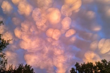 Vainqueur de la catégorie "jeune photographe de l'année" : Eris Pil (16 ans). Le jeune photographe américain a immortalisé une rare formation nuageuse : des Mammatus. (Pixel 3)