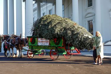 Jill et Beau Biden reçoivent le sapin de Noël de la Maison Blanche.