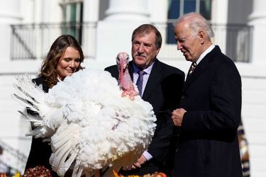 Joe Biden gracie les dindes Chocolate et Chip, lundi à la Maison Blanche.