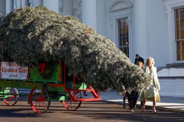 Pendant ce temps-là, Jill BIden recevait l'immense sapin de Noël de la Maison Blanche.
