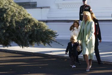 Jill Biden reçoit le sapin de Noël de la Maison Blanche avec son petit-fils Beau Jr.