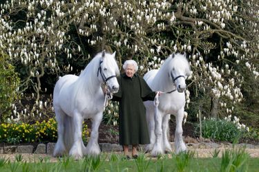 Entre ses poneys Bybeck Katie et Bybeck Nightingale: first photo, Mars prize at Windsor, and distribution on the occasion of the son's anniversary, April 21st.