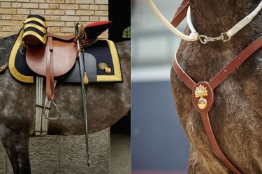 Parmi les cadeaux, le harnachement d'armes (la Selle, la bride, le filet, le licol) et le sabre.