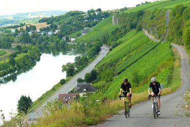 12_Moselle