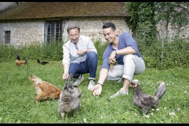 Ses princesses à lui : des poules aux noms très aristocratiques. Astrid et Victoria pour les coucous de Malines gris, Eugénie et Béatrice pour les poules rousses.