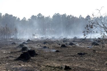 El fuego fue extinguido pero los incendios de turba - o