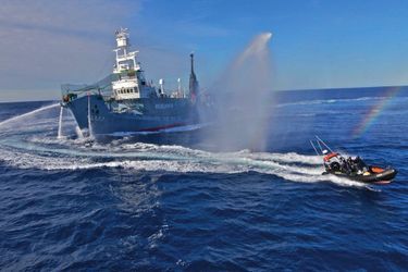 Des pneumatiques Sea Shepherd pour harceler le «Shonan Maru 2», un whaleinier japonais camouflé en navire de recherche, dans l'Antarctique interdit à la pêche, en 2012.