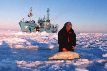 According to Watson, he peut prélever la fourrure d'un bébé phoque sans le tuer. Au Canada, en 1998.