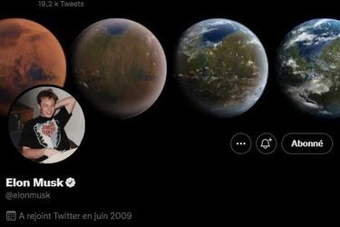 Elon Musk's new profile picture on Twitter.
