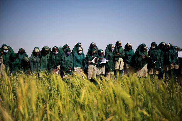 Cours de biologie en plein air pour des élèves de la Future Prowess Islamic Foundation School, à Maiduguri Cours de biologie en plein air pour des élèves de la Future Prowess Islamic Foundation School, à Maiduguri