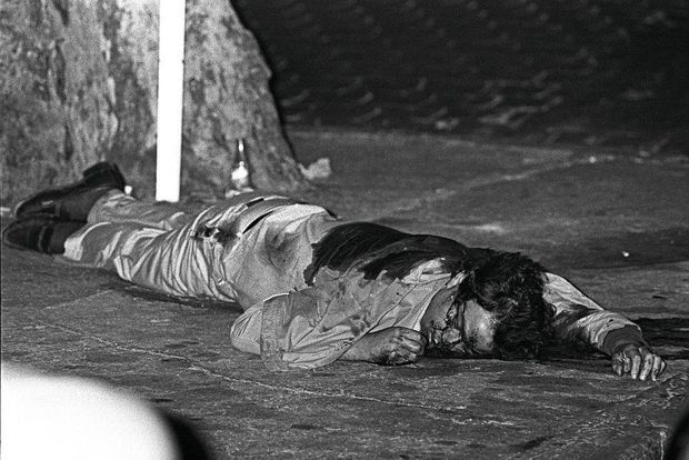 tany zampa la chute du parrain de marseille